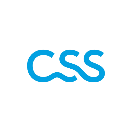 CSS